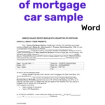 Legal document showing a car ownership transfer with loan assumption.