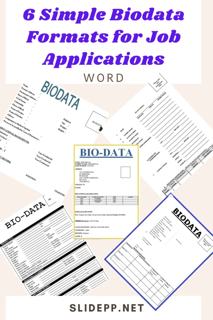 Employee biodata format in Word table view Tabular biodata format for job applications